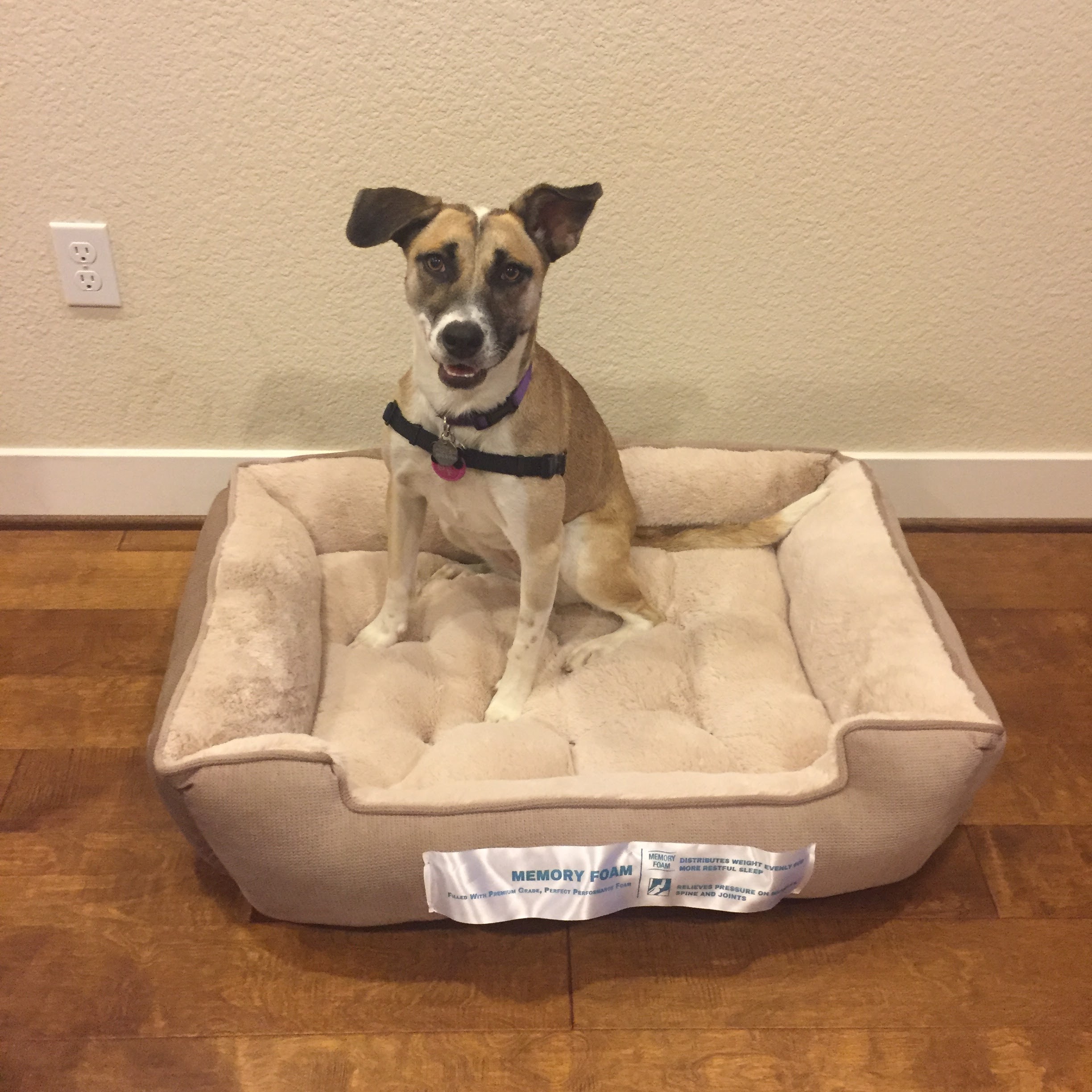 Ellie in her bed