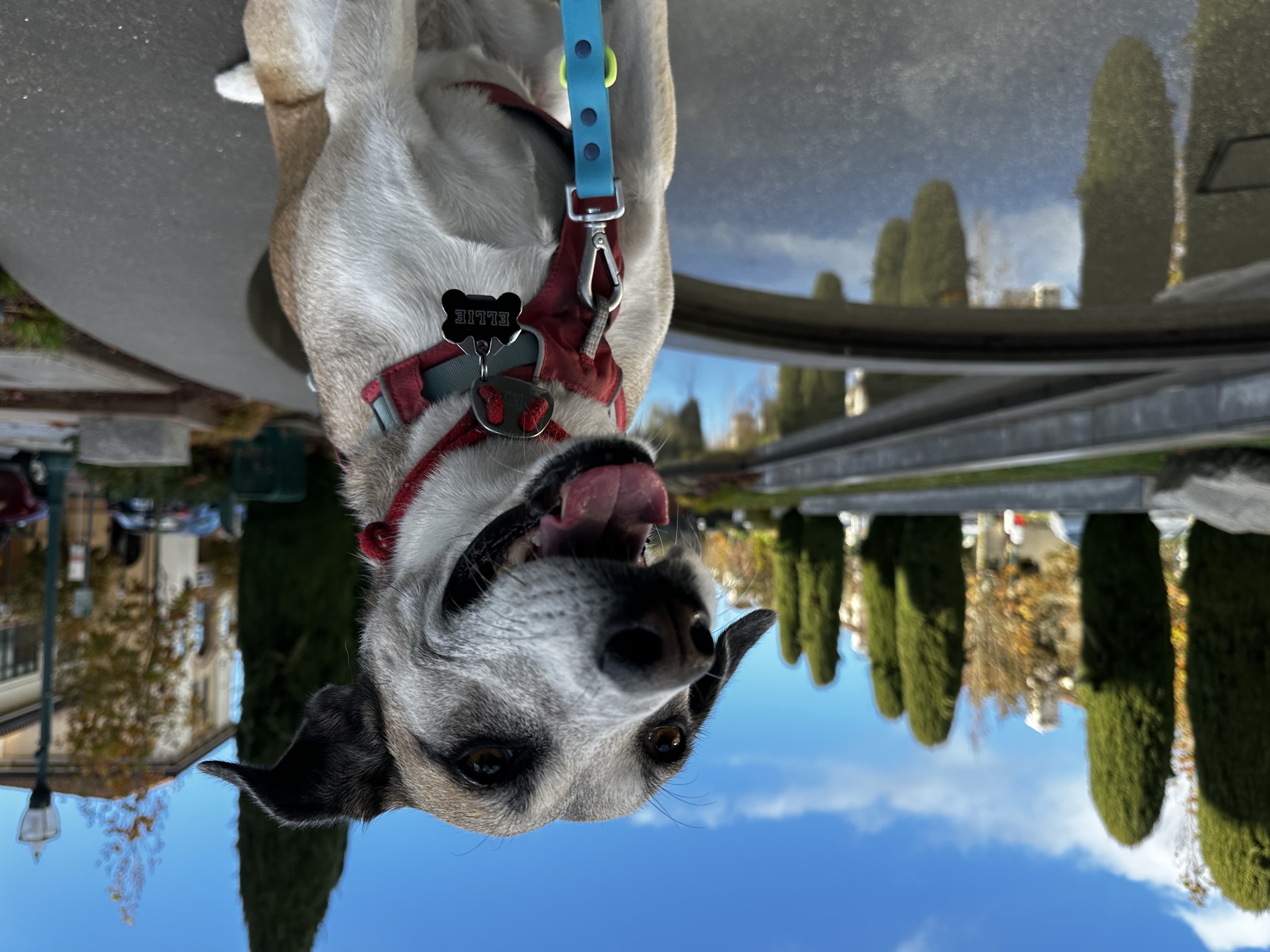 Ellie by the fountain