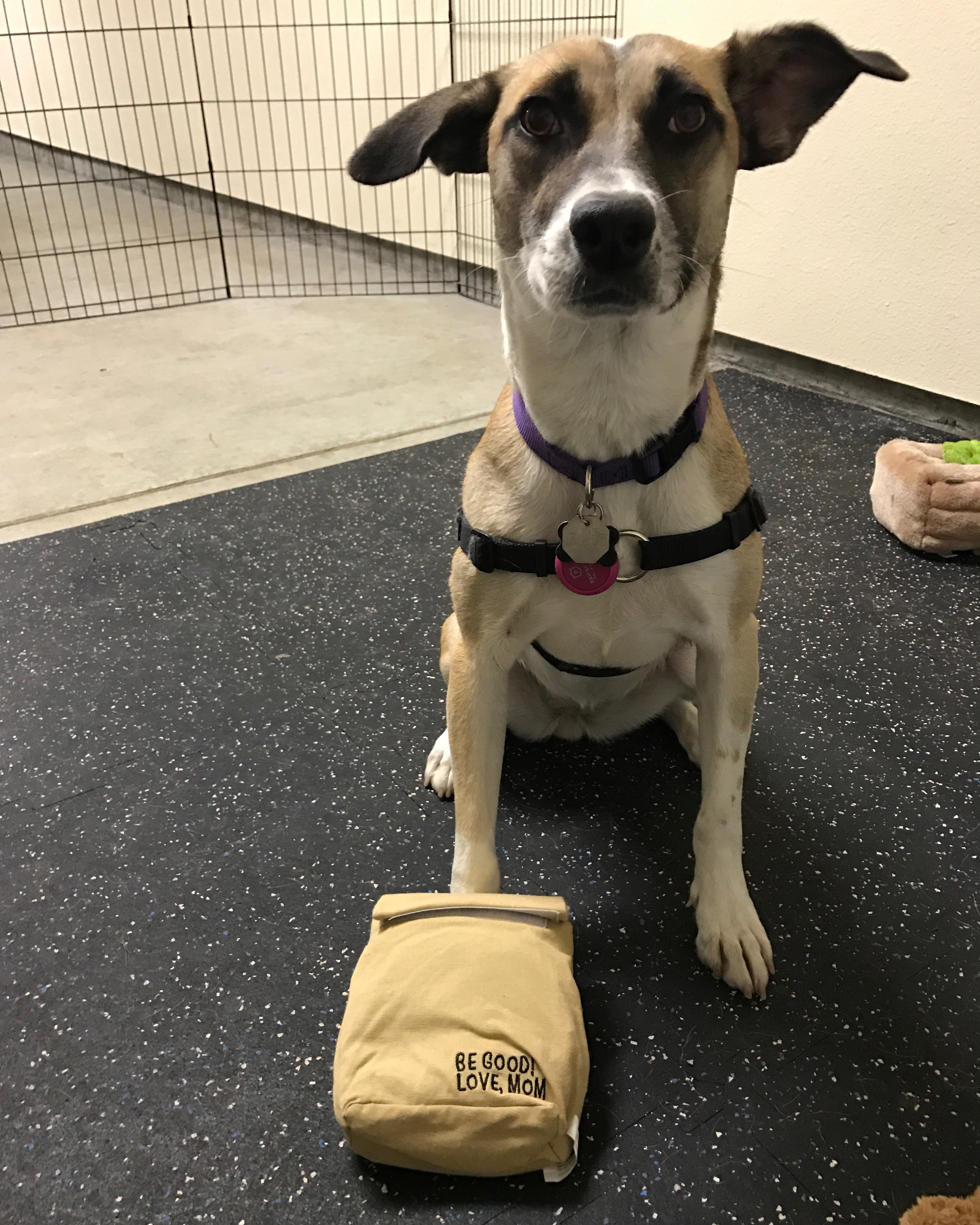 Ellie at daycare